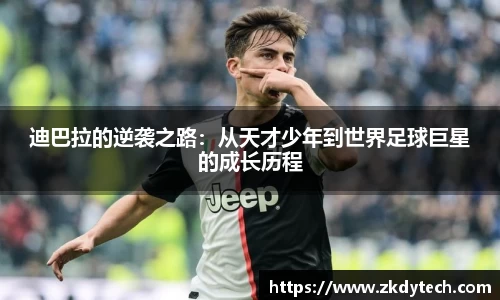 完美体育登录入口