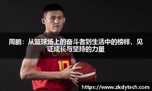 完美体育登录入口